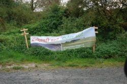 Banner im Gruenen
