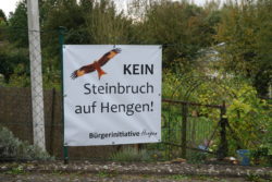 Hengen-Adler