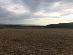 Blick von Hengen