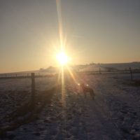 Winterimpression