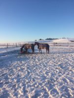 So schön kann Winter sein