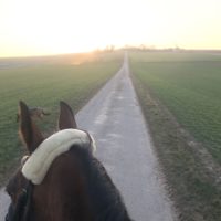 Hallo Sonne!