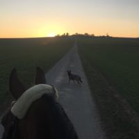 Morgenstund hat Gold im Mund