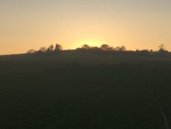 Morgenstund hat Gold im Mund
